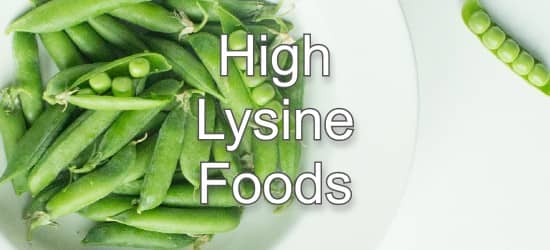 Top 10 Foods Highest in Lysine