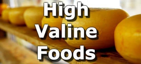Top 10 Foods Highest in Valine